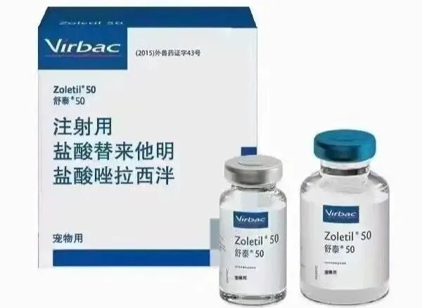 下单跑腿送厕纸?骑手:对不起,这单先送派出所 下单跑腿送厕纸?骑手:对不起,这单先送派出所