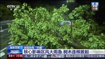 巴威减弱为强热带风暴 持续关注! 巴威减弱为强热带风暴 持续关注!