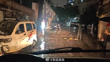 上海300多株倒伏树木一夜清零,上海速度靠的不是熬夜而是平日功夫 上海300多株倒伏树木一夜清零,上海速度靠的不是熬夜而是平日功夫