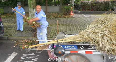上海300多株倒伏树木一夜清零,上海速度靠的不是熬夜而是平日功夫 上海300多株倒伏树木一夜清零,上海速度靠的不是熬夜而是平日功夫