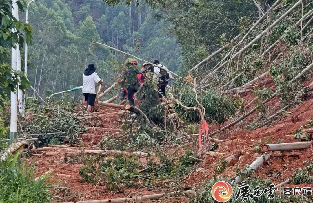 六天五夜,为了“孤岛”8000多名群众挺进 六天五夜,为了“孤岛”8000多名群众挺进