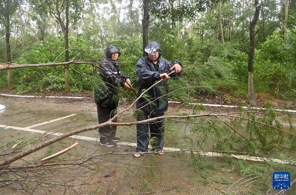 风雨里的守望——广西防台抗洪一线纪实