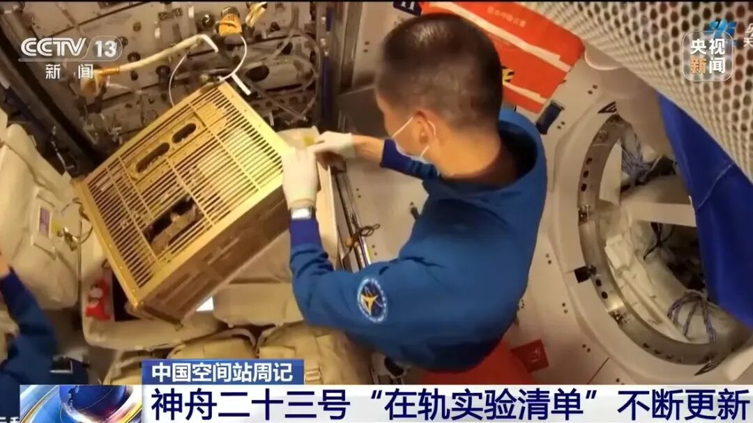 神舟二十三号乘组刷新,黎家盈和队友配合开展多项实验 神舟二十三号乘组刷新,黎家盈和队友配合开展多项实验