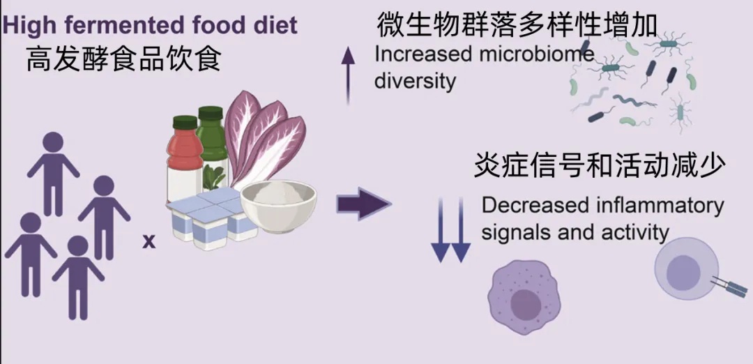 一类被严重低估的食物！日常吃点，降低身体多种炎症