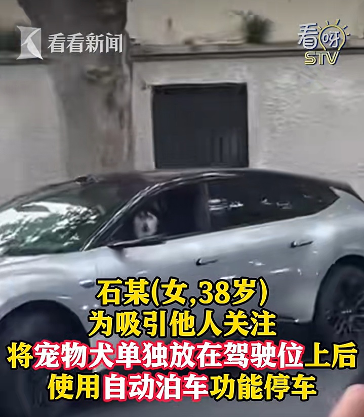 女子将狗单独放在主驾后开启自动泊车,警方:罚200元,记3分 女子将狗单独放在主驾后开启自动泊车,警方:罚200元,记3分