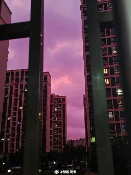 台风登陆前,上海、杭州、苏州多地天空呈现粉紫色,专家解释台风登陆前天空粉紫色 台风登陆前,上海、杭州、苏州多地天空呈现粉紫色,专家解释台风登陆前天空粉紫色