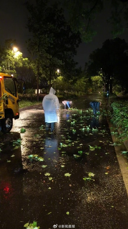 上海300多株倒伏树木一夜清零,上海速度靠的不是熬夜而是平日功夫 上海300多株倒伏树木一夜清零,上海速度靠的不是熬夜而是平日功夫