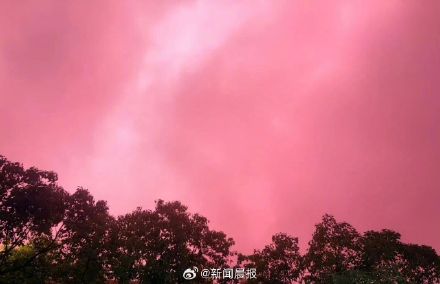 台风登陆前,上海、杭州、苏州多地天空呈现粉紫色,专家解释台风登陆前天空粉紫色 台风登陆前,上海、杭州、苏州多地天空呈现粉紫色,专家解释台风登陆前天空粉紫色