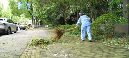 上海300多株倒伏树木一夜清零,上海速度靠的不是熬夜而是平日功夫 上海300多株倒伏树木一夜清零,上海速度靠的不是熬夜而是平日功夫