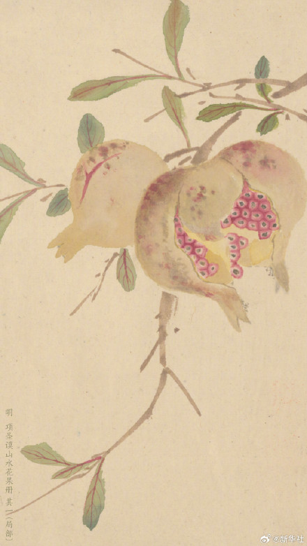 故宫上新水果古画壁纸
