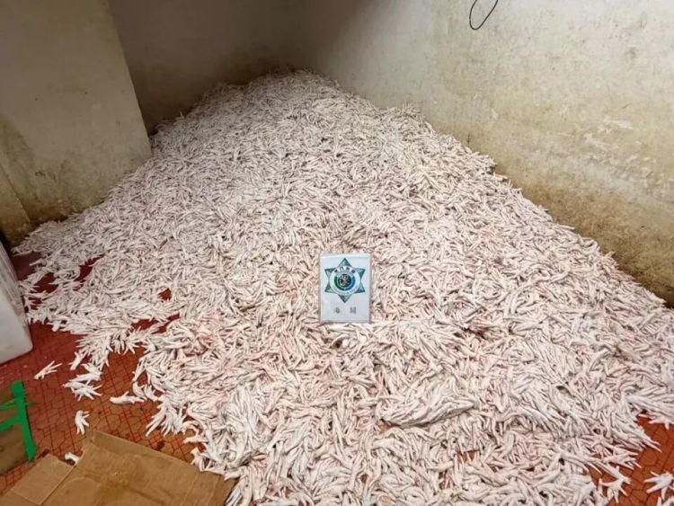 偷运4600斤鸡爪到内地,20岁澳门男子被抓 偷运4600斤鸡爪到内地,20岁澳门男子被抓