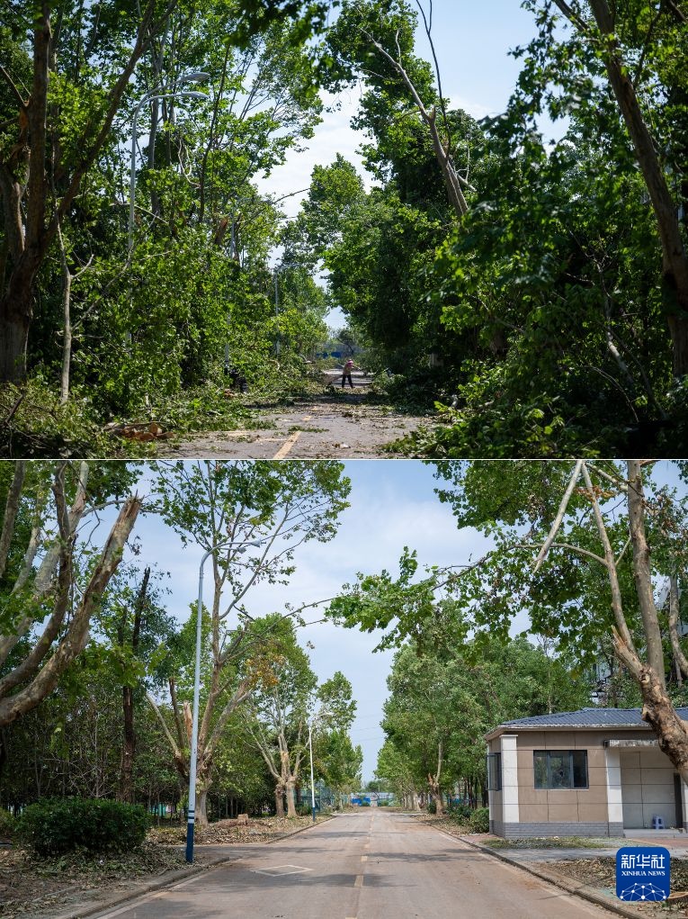 湖北黄冈:龙卷风灾后清理修复持续推进 湖北黄冈:龙卷风灾后清理修复持续推进