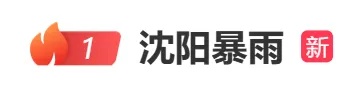 非必要不出门！沈阳启动防汛一级应急响应：居家办公、停课！“巴威”持续性强降雨，将集中在辽宁、吉林中东部等地