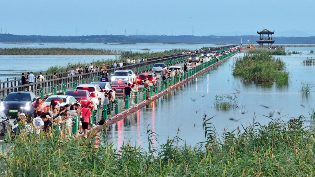 碧水、长路、飞鸟!“中国最美水上公路”惊艳上线 碧水、长路、飞鸟!“中国最美水上公路”惊艳上线