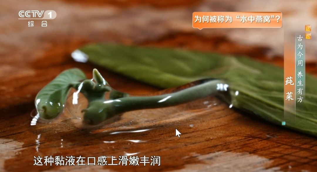 夏日脾胃差、容易上火?试试这碗平价滋补“燕窝”,常吃清热护胃、延缓衰老 夏日脾胃差、容易上火?试试这碗平价滋补“燕窝”,常吃清热护胃、延缓衰老