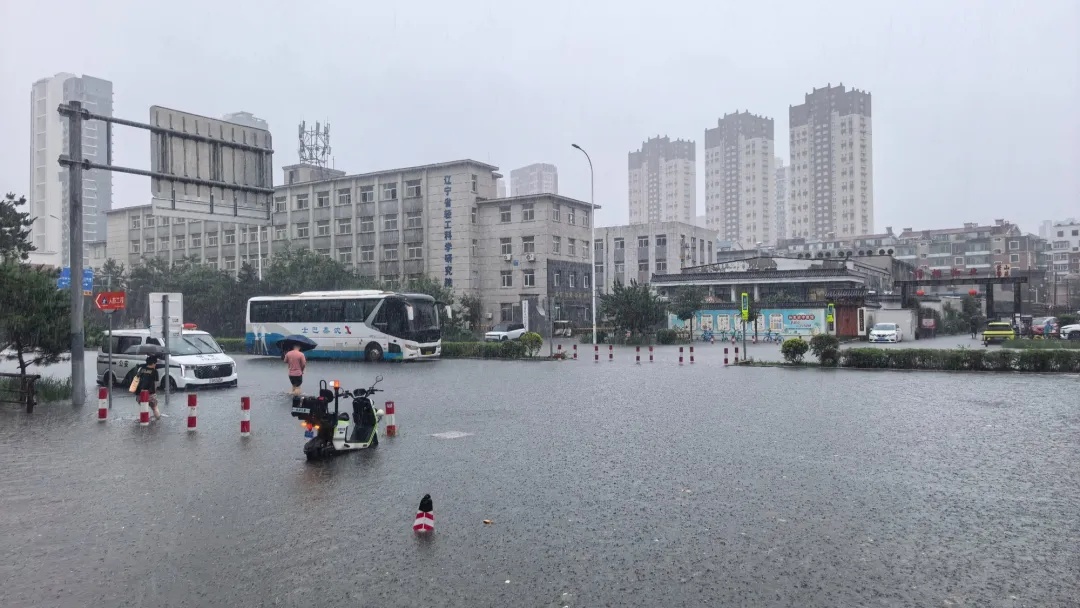 台风“巴威”今晚离开江苏,它不过如此?但为何轻虐江苏、狂泼东北? 台风“巴威”今晚离开江苏,它不过如此?但为何轻虐江苏、狂泼东北?