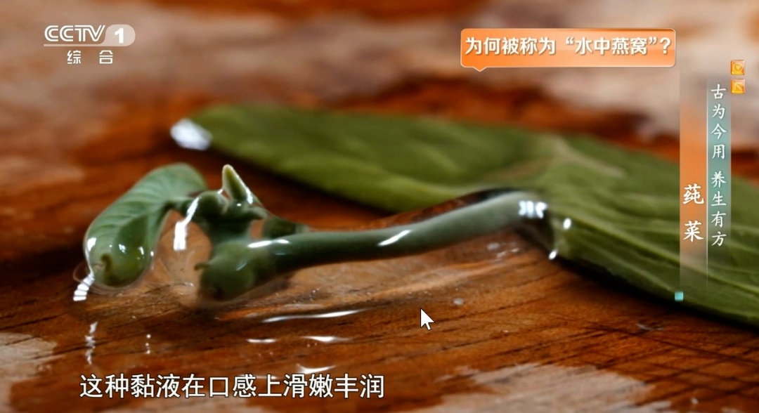 夏日脾胃差、容易上火？这种清补好物现在吃正合适