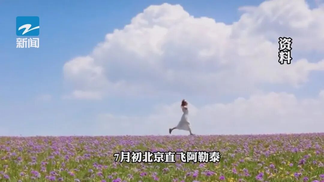 “1”字头机票来了?!暑期出行还有一个捡漏窗口 “1”字头机票来了?!暑期出行还有一个捡漏窗口