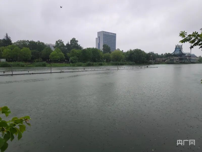 “巴威”北上！水深没过车轮、有地铁停运，直击沈阳暴雨现场→