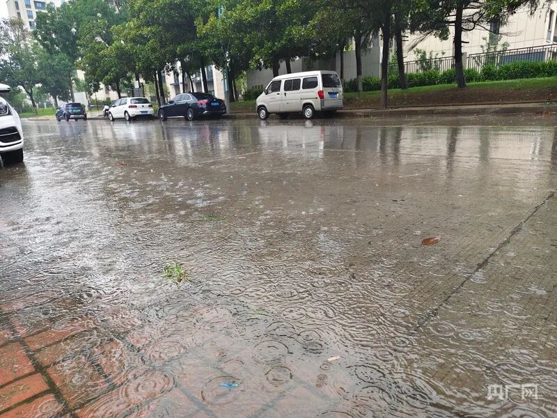 “巴威”北上！水深没过车轮、有地铁停运，直击沈阳暴雨现场→