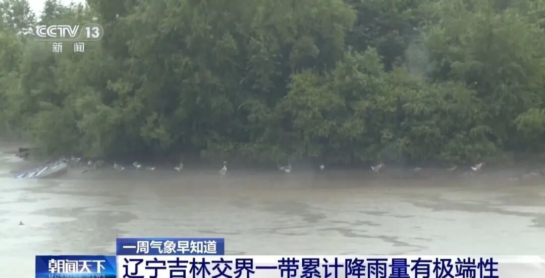 非必要不出门！沈阳启动防汛一级应急响应：居家办公、停课！“巴威”持续性强降雨，将集中在辽宁、吉林中东部等地