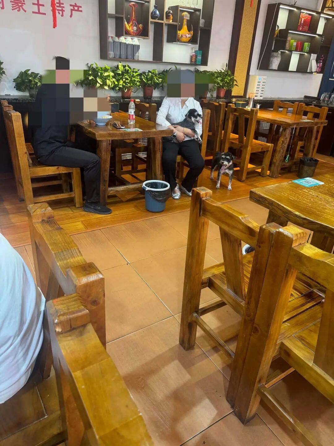 山西一面馆因劝阻带宠物进店遭连续差评 律师：店主有权禁宠物，恶意差评构成侵权