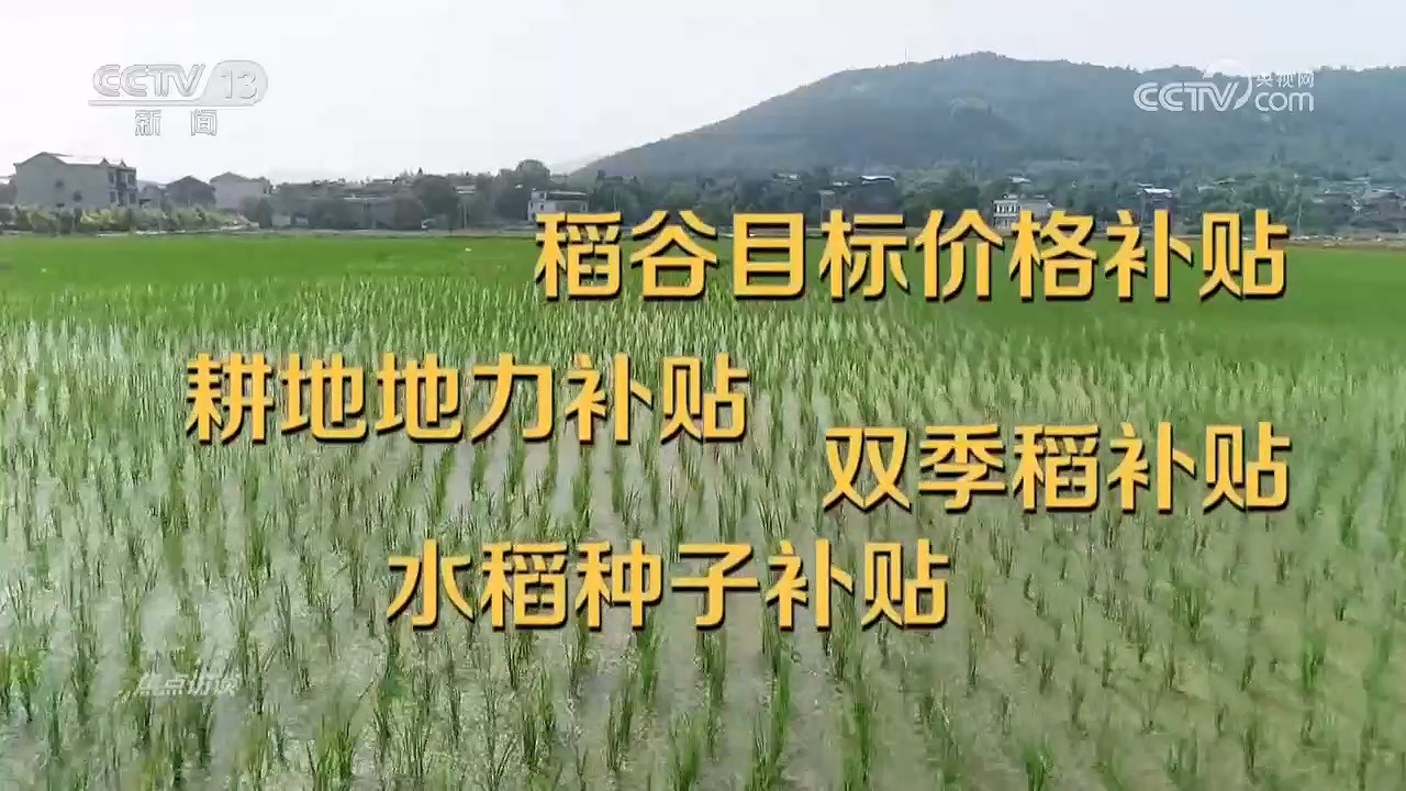 焦点访谈|两套台账、虚报数据!湖南江华水稻种植面积造假调查 焦点访谈|两套台账、虚报数据!湖南江华水稻种植面积造假调查