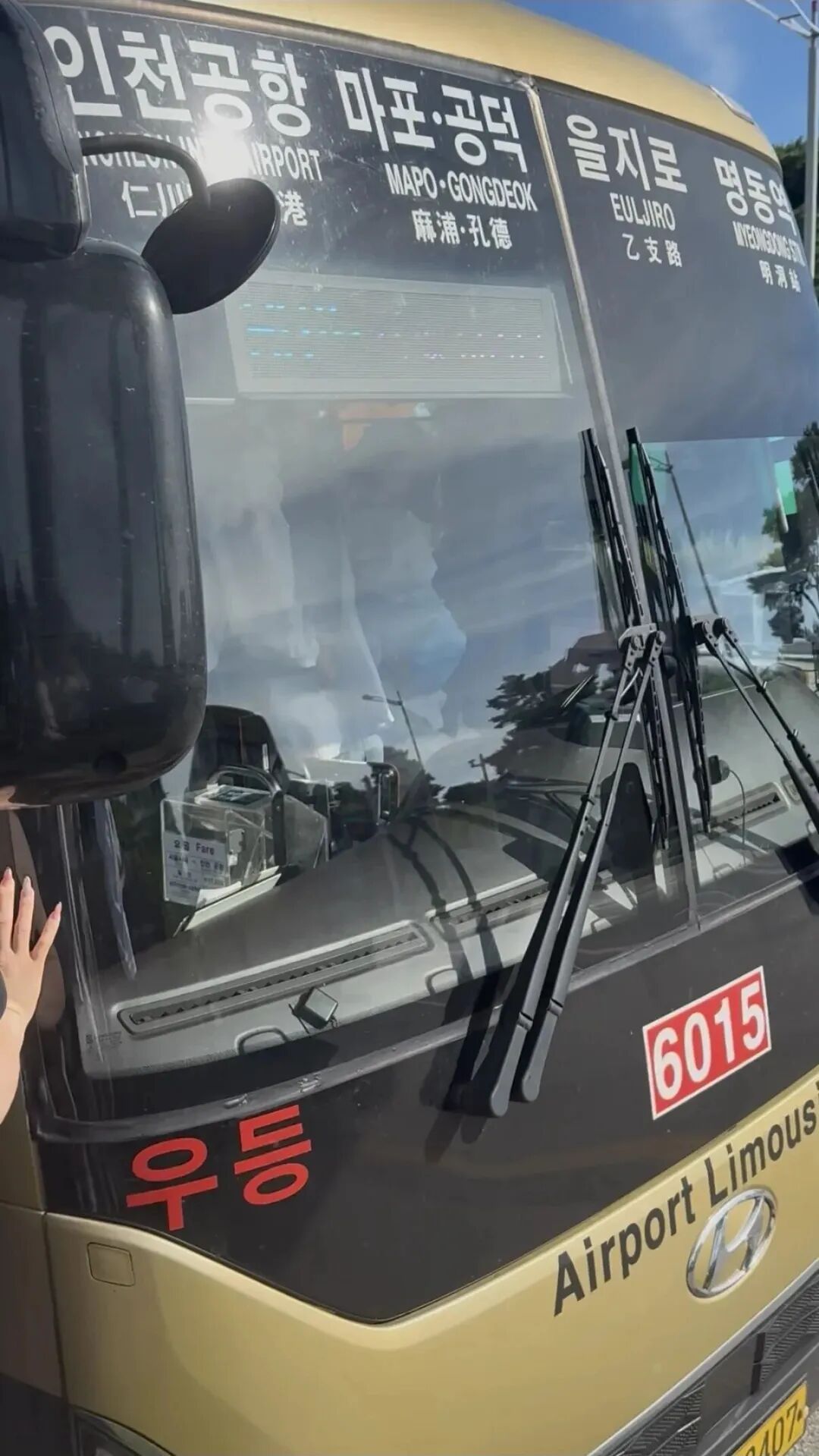 “紧急情况下,南京话飙出来了,刹住了刹住了!”3名中国女子在韩国大巴上合力救人 “紧急情况下,南京话飙出来了,刹住了刹住了!”3名中国女子在韩国大巴上合力救人