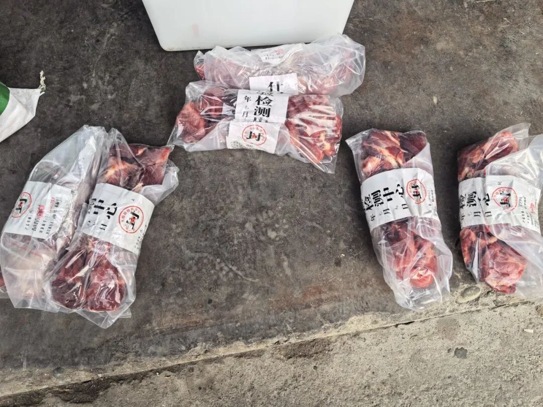 警方突袭一牛肉制假窝点,现场多人正往猪肉上涂抹牛油、牛血冒充牛肉…… 警方突袭一牛肉制假窝点,现场多人正往猪肉上涂抹牛油、牛血冒充牛肉……