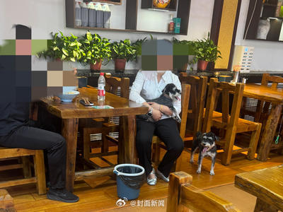 山西一面馆劝阻带宠进店遭恶意差评 山西一面馆劝阻带宠进店遭恶意差评