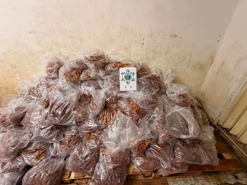 离谱！偷运4600斤鸡爪到内地！此前有人从内地偷运51公斤盒饭出境…