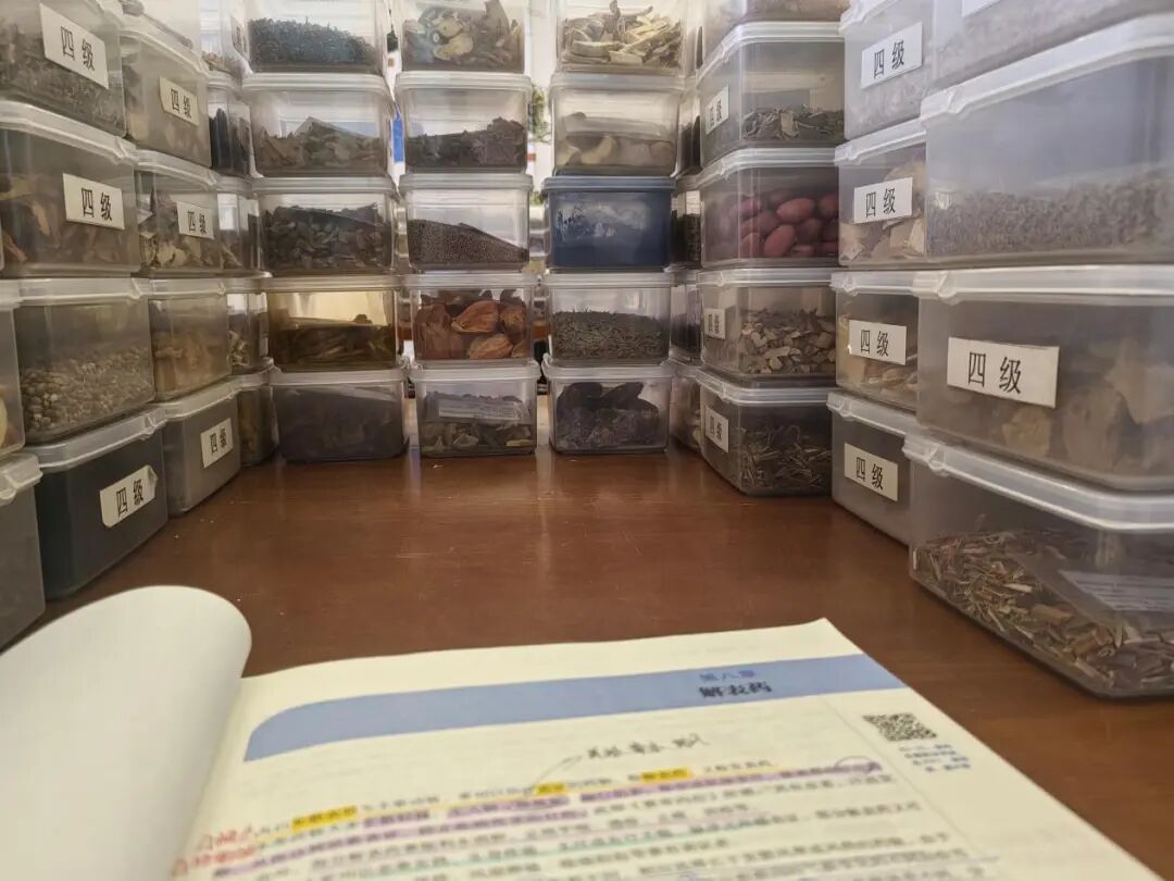 北中医大一女生地铁救人:千余小时志愿服务,练出关键时刻的勇气 北中医大一女生地铁救人:千余小时志愿服务,练出关键时刻的勇气