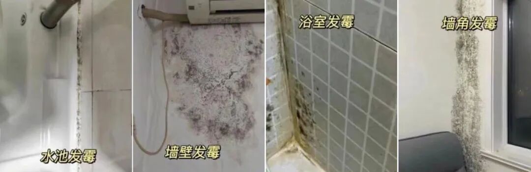 一旦出现这种小黑点，身体多个部位悄悄受损！快自查家里这些角落→