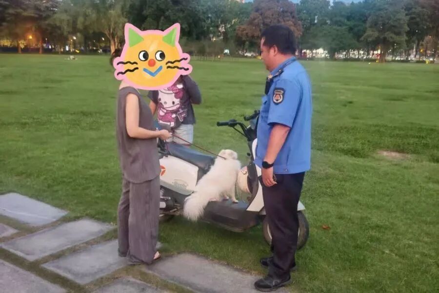 广东一女子遛狗时未及时铲屎,现场被罚50元 广东一女子遛狗时未及时铲屎,现场被罚50元