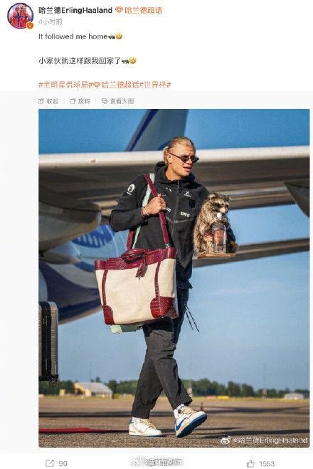 哈兰德同款浣熊已断货