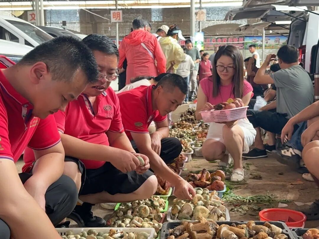 昆明市场上新5种陌生野生菌!可以吃! 昆明市场上新5种陌生野生菌!可以吃!