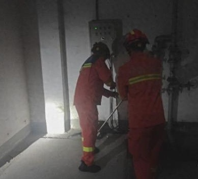 毒蛇藏身地下车库!抓捕后放生山林野外 毒蛇藏身地下车库!抓捕后放生山林野外