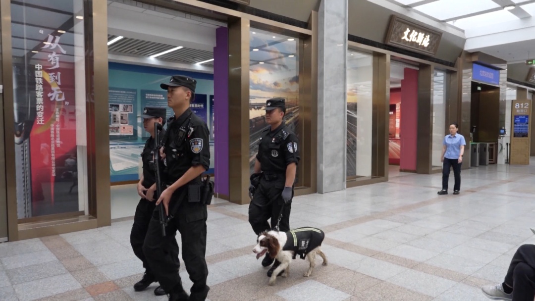 暑运安保升级！北京铁路警犬驻站严查违禁品 万余件危险品被查获