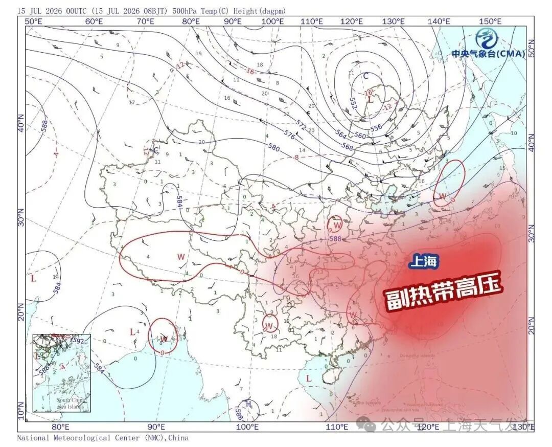 “我还没上班，小橙就上班了”！上海入伏首日39℃，关个车门都烫手，网友：出门五分钟，妆都化了