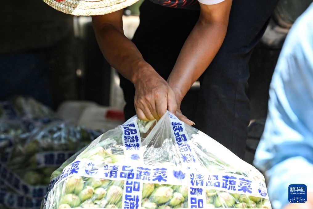 “手”记——这就是众志成城的力量