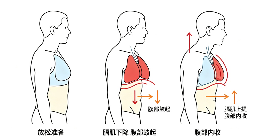 睡觉把手举过头顶,真能睡得更香?原因来了! 睡觉把手举过头顶,真能睡得更香?原因来了!