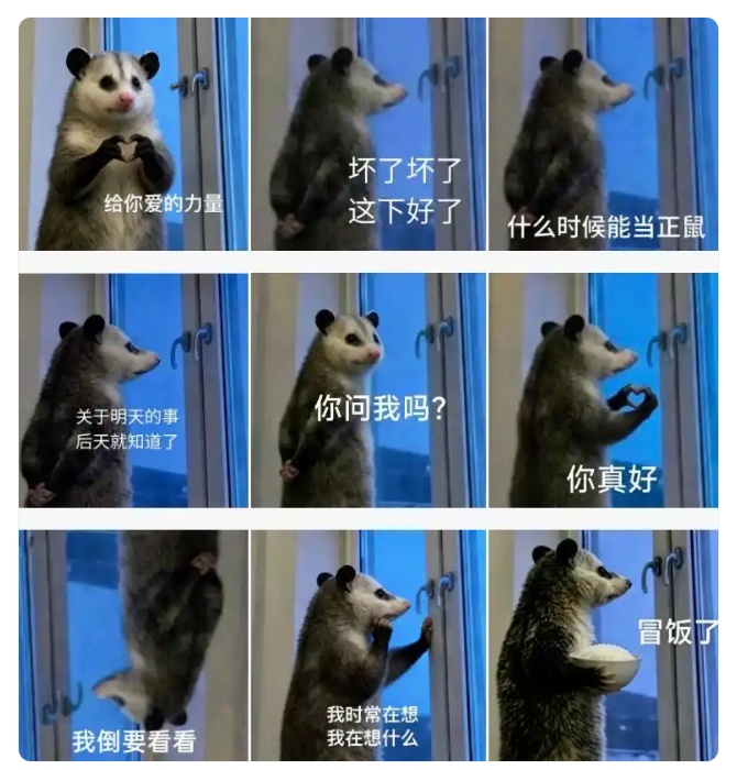 何以解压?非他莫“鼠”!网友:我要全网收集 何以解压?非他莫“鼠”!网友:我要全网收集