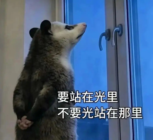 何以解压?非他莫“鼠”!网友:我要全网收集 何以解压?非他莫“鼠”!网友:我要全网收集