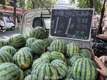 酷暑来袭,成都人一天吃掉约50万个西瓜 酷暑来袭,成都人一天吃掉约50万个西瓜