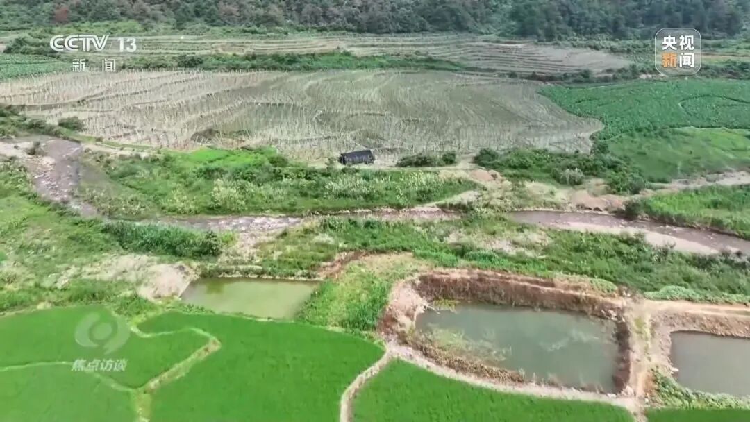 湖南江华县、镇、村三级应付检查,赤裸裸造假!起底“种在纸上”的水稻→ 湖南江华县、镇、村三级应付检查,赤裸裸造假!起底“种在纸上”的水稻→