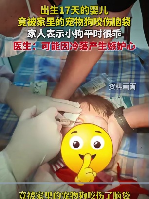 又有4人被咬!近期高发,大人小孩千万当心 又有4人被咬!近期高发,大人小孩千万当心