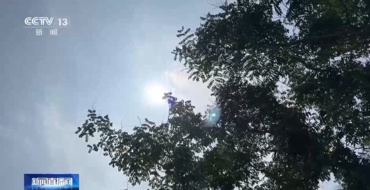 持续高温天气警惕热射病 这些人群需格外注意