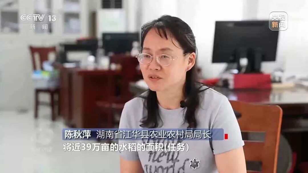 湖南江华县、镇、村三级应付检查,赤裸裸造假!起底“种在纸上”的水稻→ 湖南江华县、镇、村三级应付检查,赤裸裸造假!起底“种在纸上”的水稻→