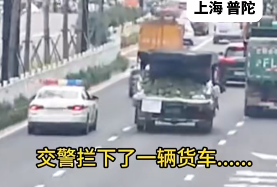 罚完瓜农200元后再自掏腰包…上海交警这波操作冲上热搜! 感动无数网友️ 罚完瓜农200元后再自掏腰包…上海交警这波操作冲上热搜! 感动无数网友️