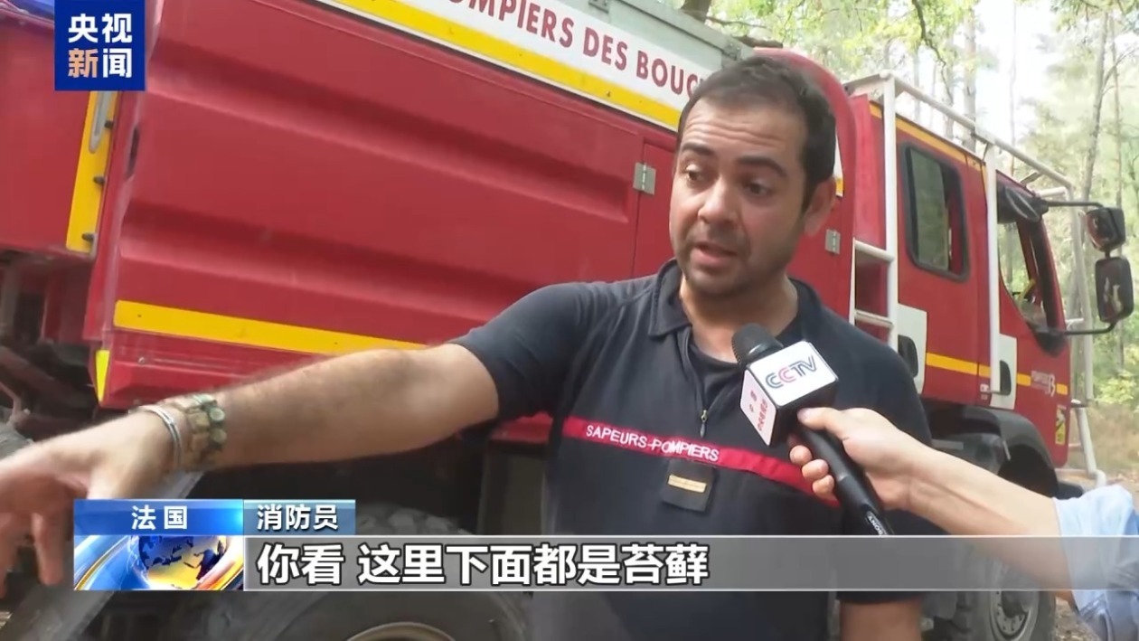 记者探访丨法国枫丹白露山火现场 消防员阻止火势蔓延